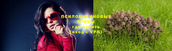 первитин Абинск