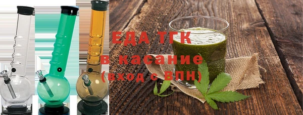 гидра Вязьма
