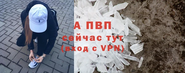 jwh Пересвет