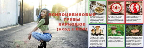jwh Пересвет