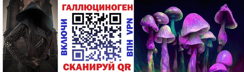Галлюциногенные грибы GOLDEN TEACHER как найти наркотики мега Зеленодольск